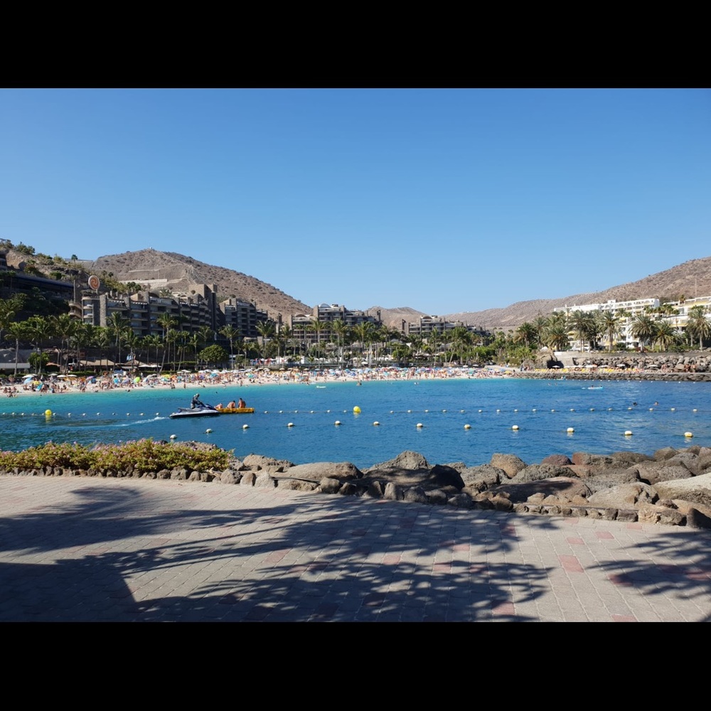 Meet your Posher, Monica